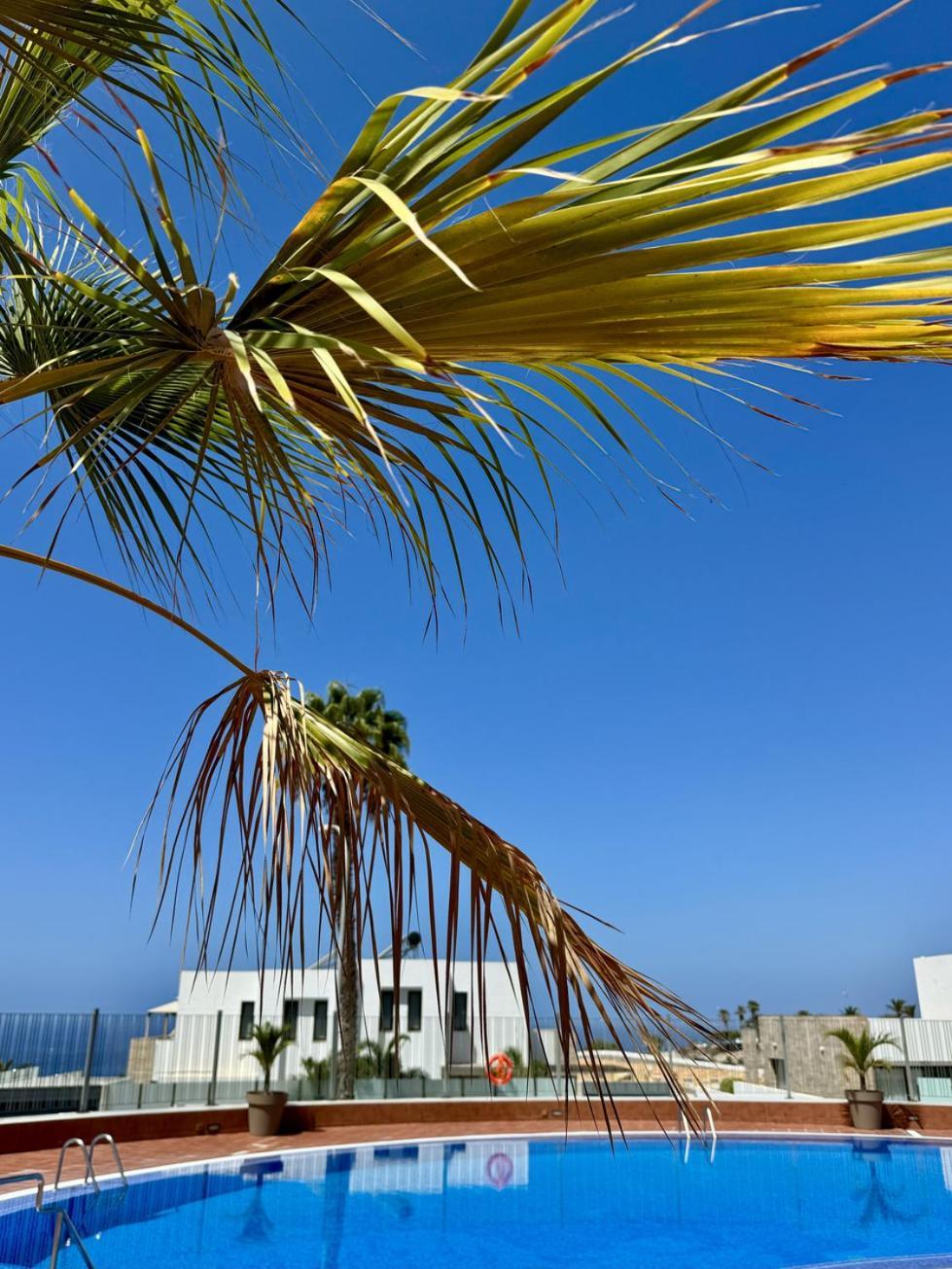 Stunning Apartments With Pool Tenerife Costa Adeje  Exterior photo