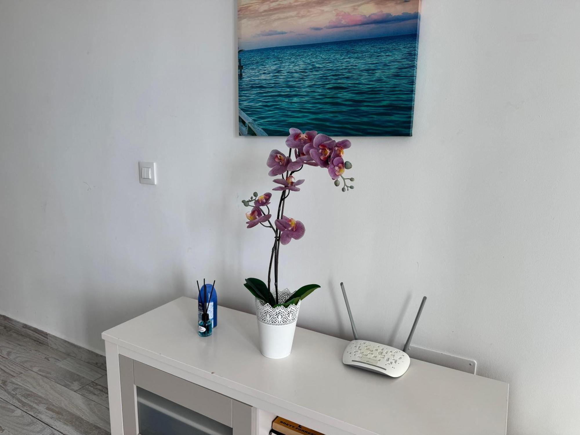 Stunning Apartments With Pool Tenerife Costa Adeje  Exterior photo